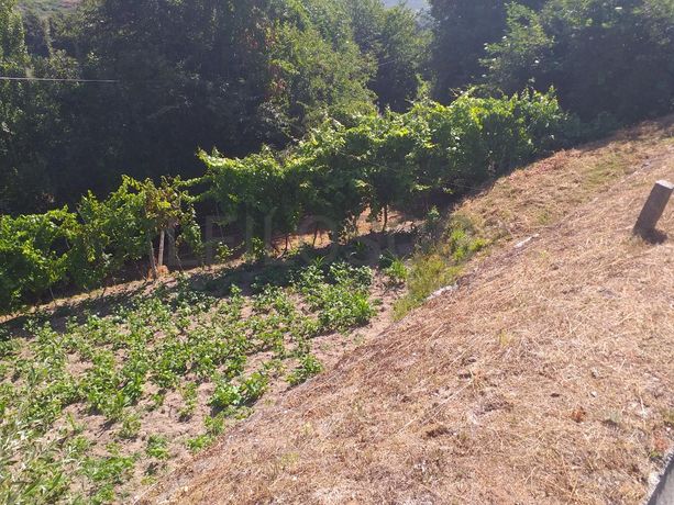 1/2 Usufruto de Terrenos · Marco de Canaveses