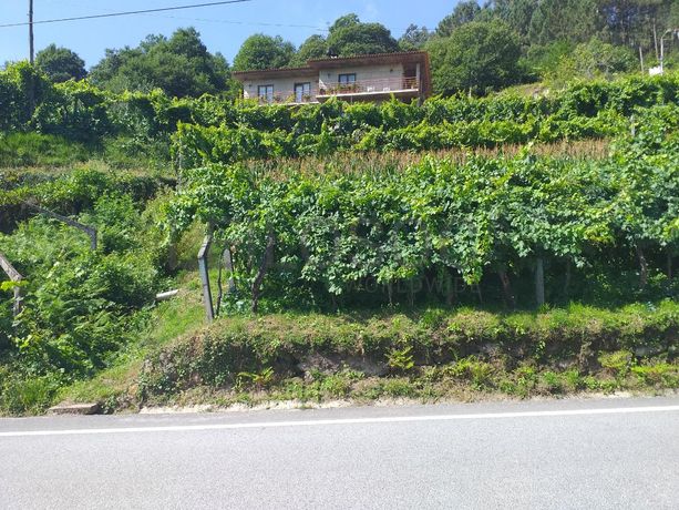 1/2 Usufruto de Terrenos · Marco de Canaveses