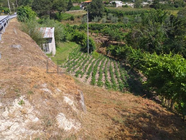 1/2 Usufruto de Terrenos · Marco de Canaveses