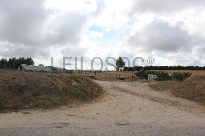 1/2 de Terreno · Torres Vedras