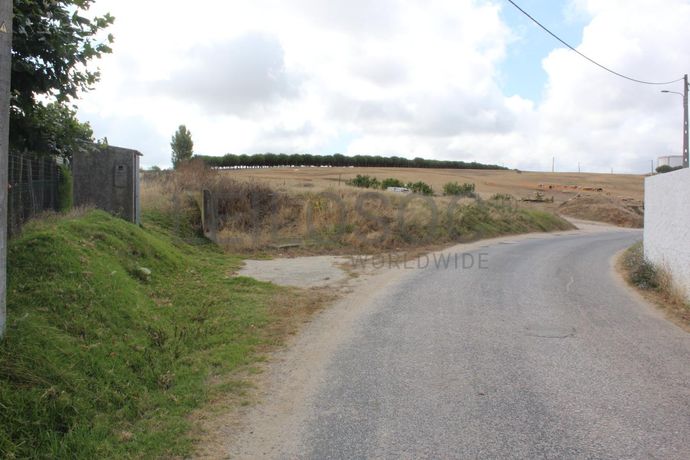 1/2 de Terreno · Torres Vedras