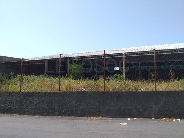 Armazém · Mangualde