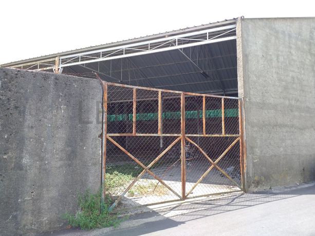 Armazém · Mangualde