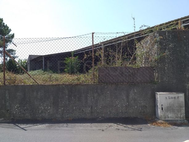 Armazém · Mangualde