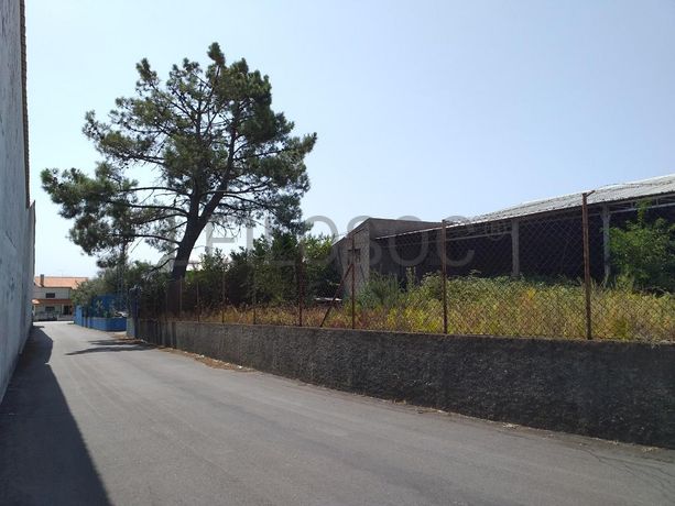 Armazém · Mangualde