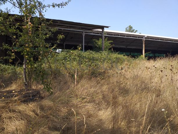 Armazém · Mangualde