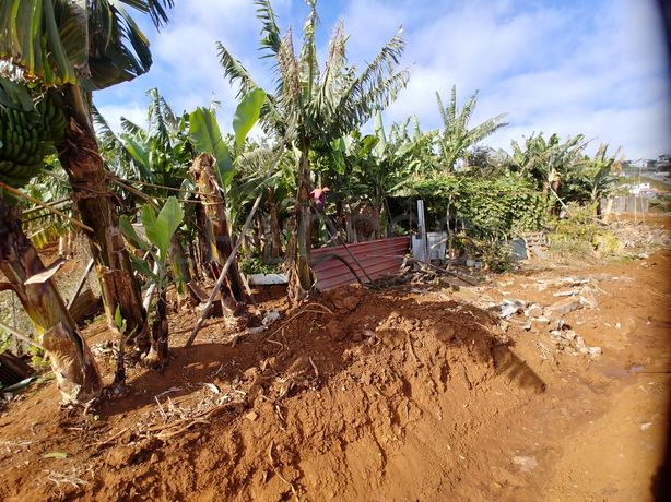 Quinhão Hereditário · Funchal