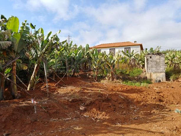 Quinhão Hereditário · Funchal