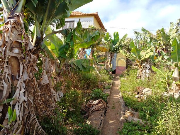 Quinhão Hereditário · Funchal