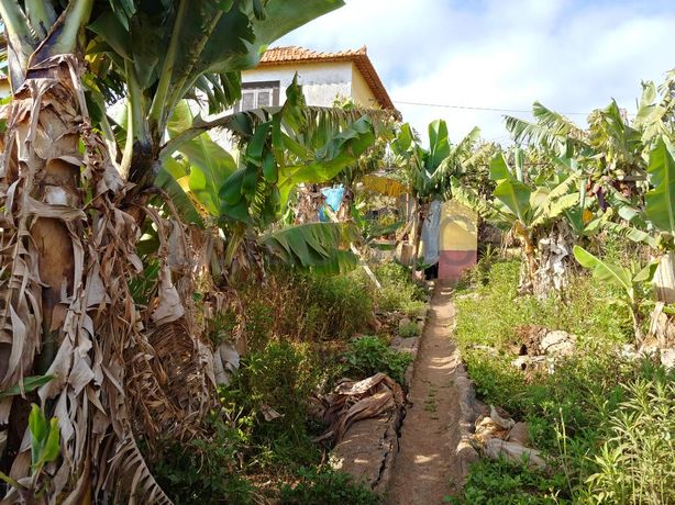 Quinhão Hereditário · Funchal