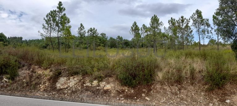 1/2 de Lote para Construção · Sardoal