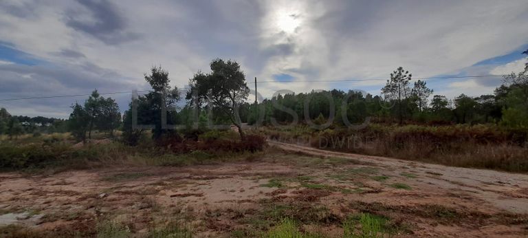 1/2 de Lote para Construção · Sardoal