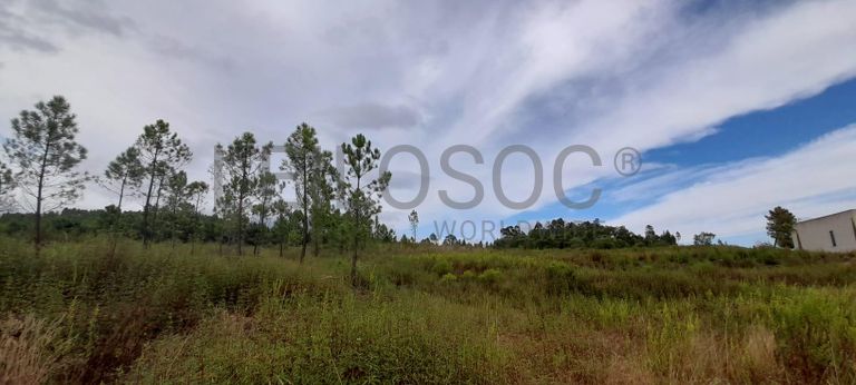 1/2 de Lote para Construção · Sardoal