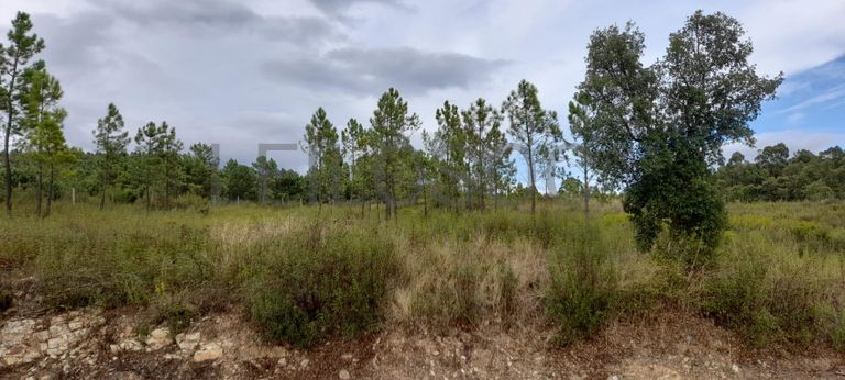 1/2 de Lote para Construção · Sardoal