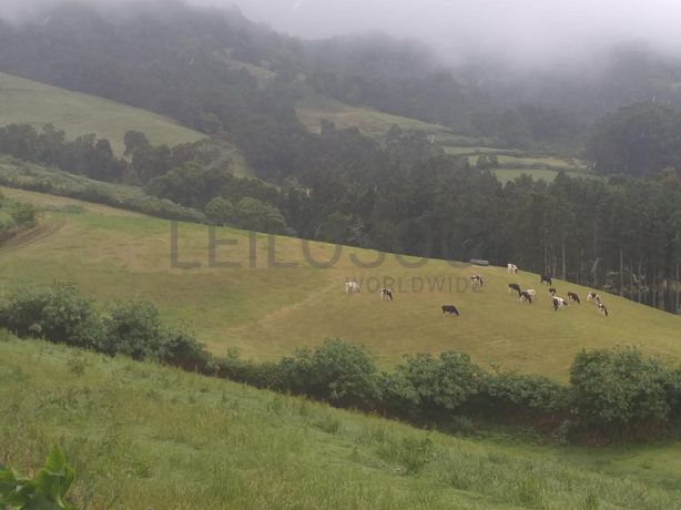 Quinhão Hereditário · Ribeira Grande, Açores