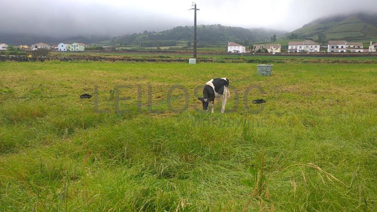 Quinhão Hereditário · Ribeira Grande, Açores