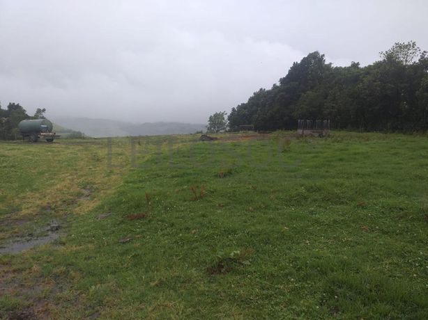 Quinhão Hereditário · Ribeira Grande, Açores