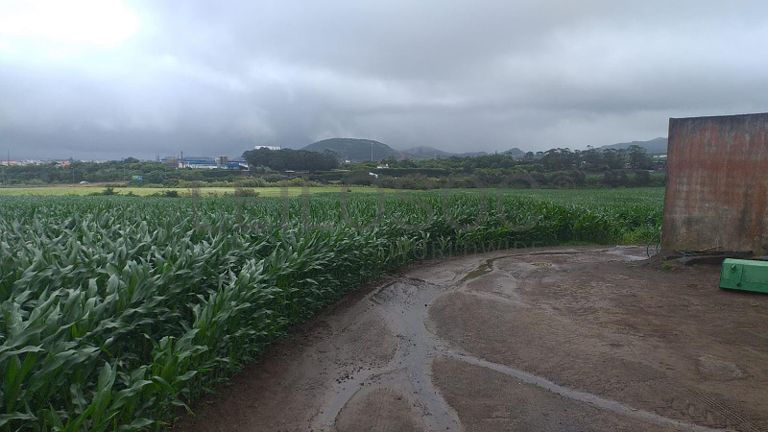 Quinhão Hereditário · Ribeira Grande, Açores