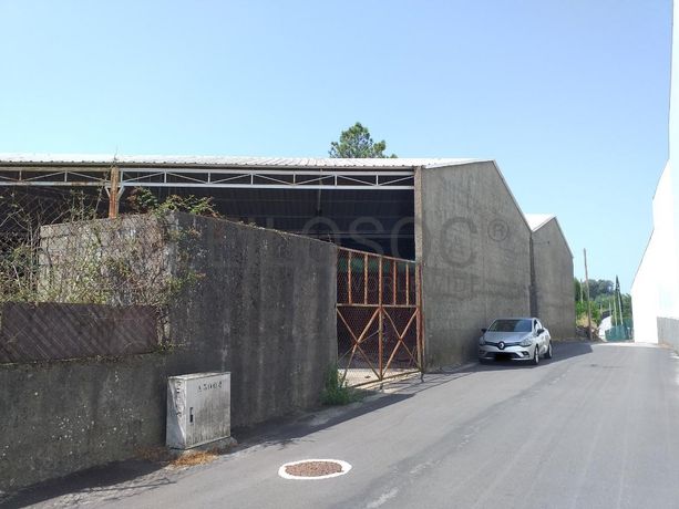 Armazém · Mangualde
