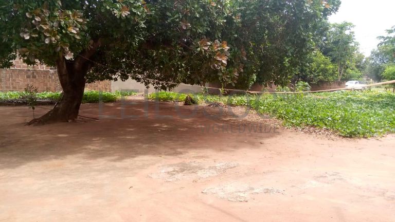 Casa T2 em terreno de 4200m2