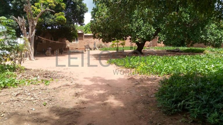 Casa T2 em terreno de 4200m2