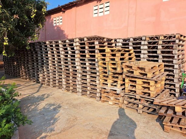 Paletes em madeira