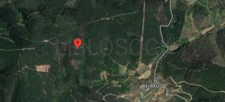 Terreno · Sertã, Castelo Branco