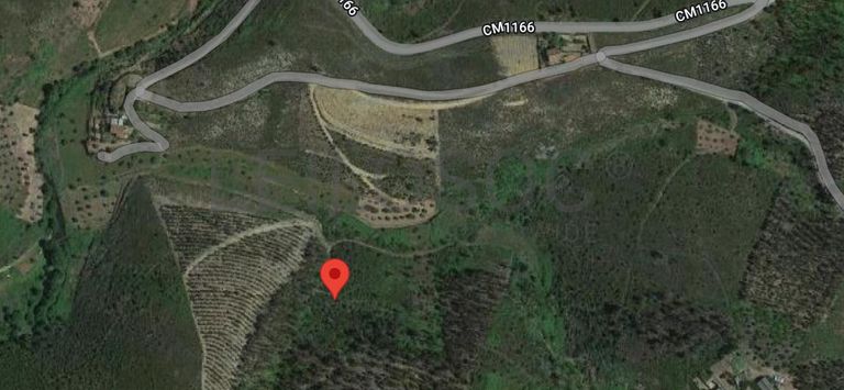 Terreno · Sertã, Castelo Branco