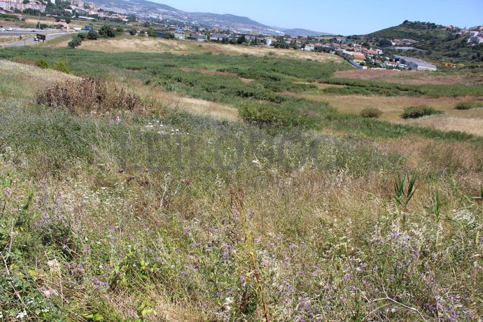 Terreno c/ 5,6 ha · Loures