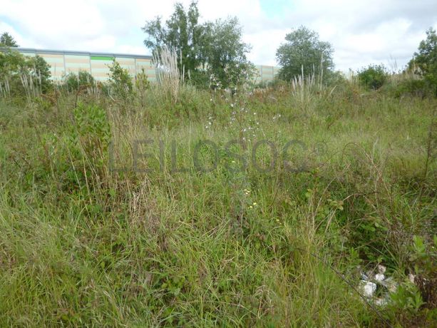 Terreno para Construção · Santa Maria da Feira