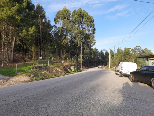 Quinhão Hereditário · Paredes