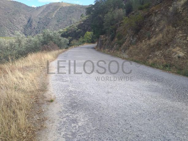 Terreno com 4,49 ha · Tabuaço