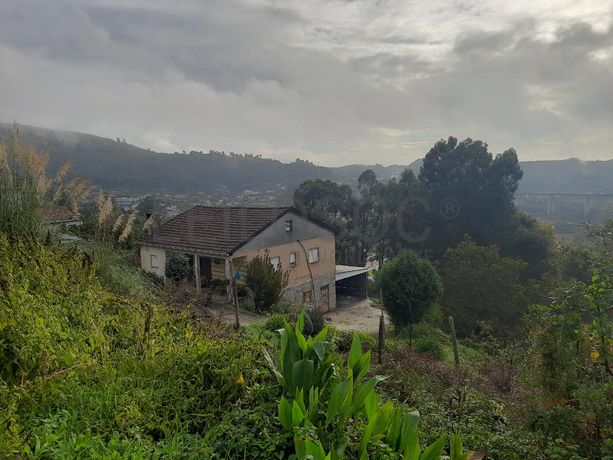 Quinhão Hereditário