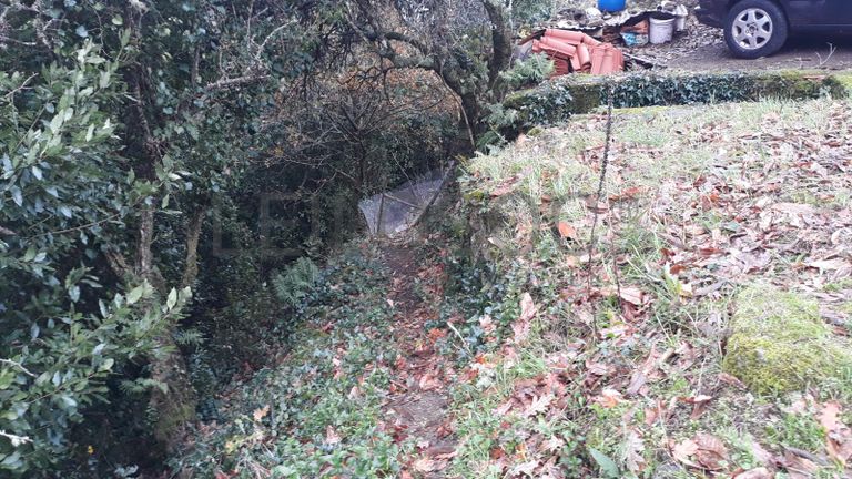 Usufruto de Moradia e Terrenos · Penela, Coimbra