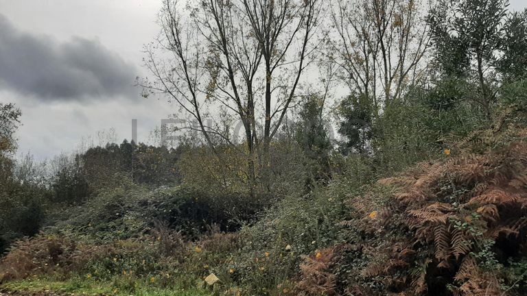 Unidade 6 - Tapada · Tondela