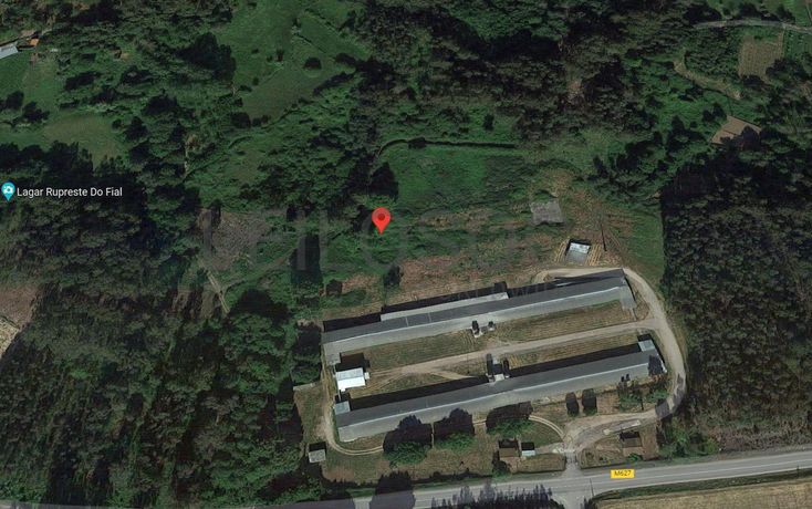 Unidade 6 - Tapada · Tondela