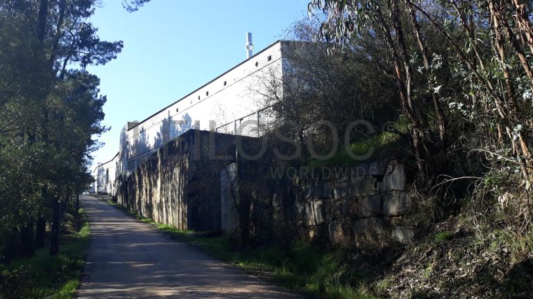 Armazéns + Lote para Construção + Terrenos · Ourém