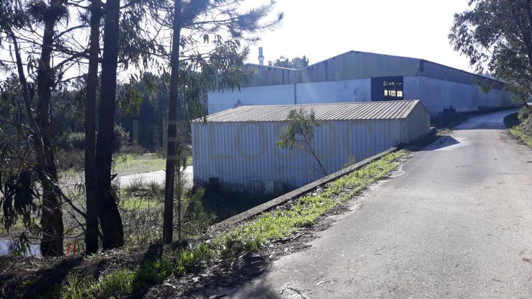 Armazéns + Lote para Construção + Terrenos · Ourém