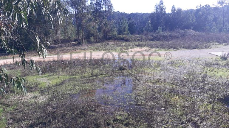 Armazéns + Lote para Construção + Terrenos · Ourém