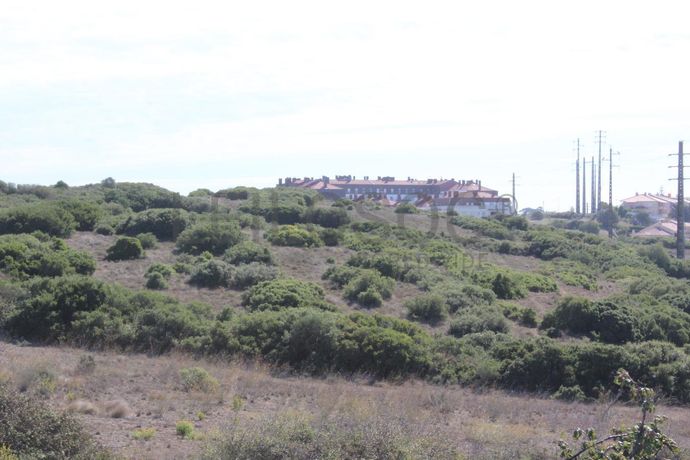 Terrenos com + 3 ha · Oeiras