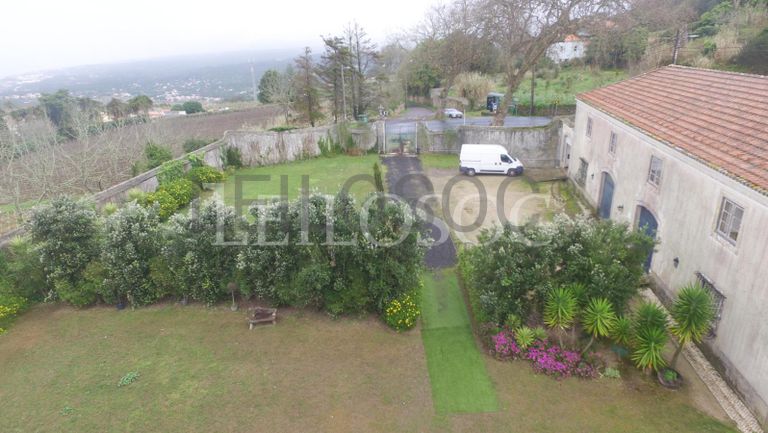 Quinta Secular · 4ha · Sintra