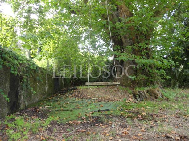 Quinta Secular · 4ha · Sintra