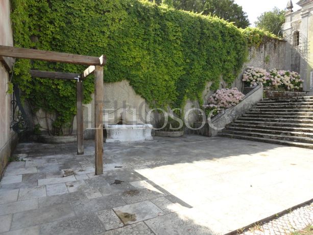 Quinta Secular · 4ha · Sintra