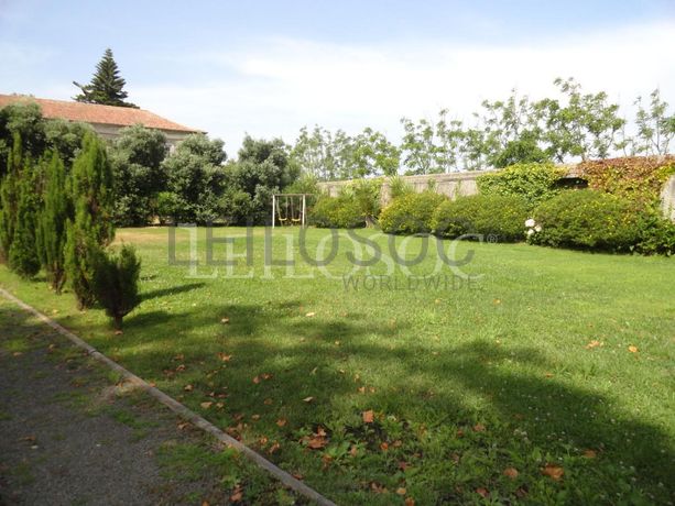 Quinta Secular · 4ha · Sintra