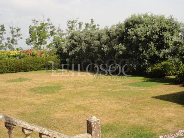 Quinta Secular · 4ha · Sintra