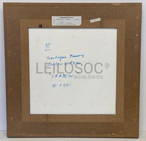 "Shadow" - Baltazar Torres