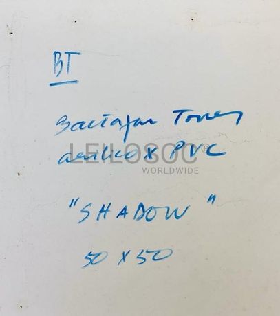 "Shadow" - Baltazar Torres