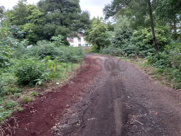 Armazém · Ponta Delgada, Arquipélago dos Açores