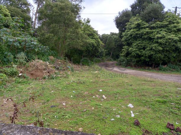 Armazém · Ponta Delgada, Arquipélago dos Açores