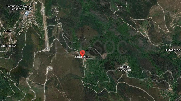 Terreno · Ribeira de Pena, Vila Real